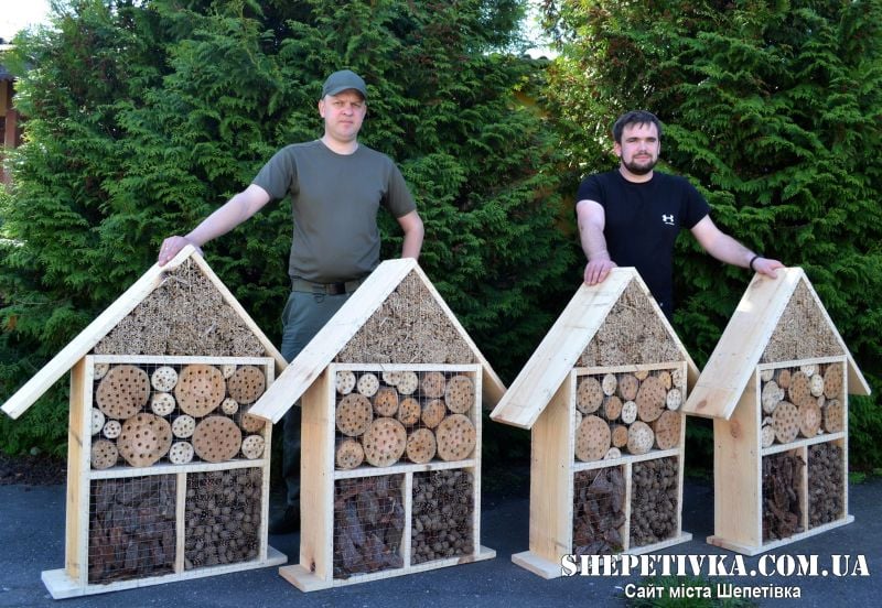 У лісах Шепетівщини встановлюють будиночки для комах: звідки цей тренд і для чого