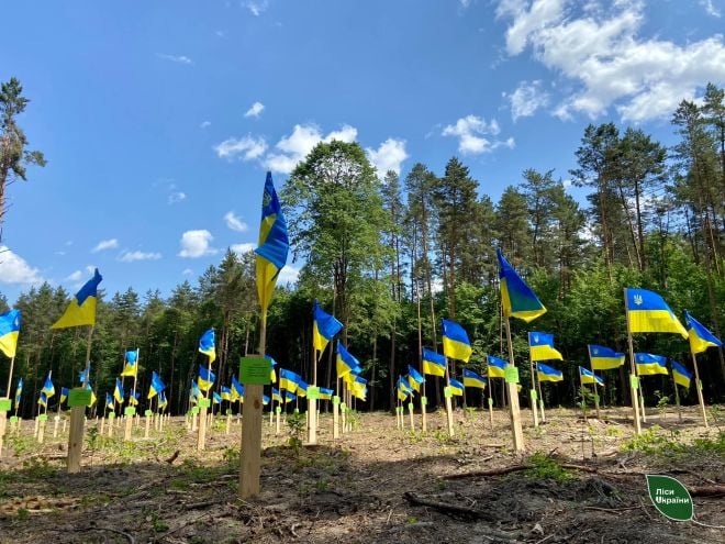 На Шепетівщині висадили дубовий гай пам’яті захисників України