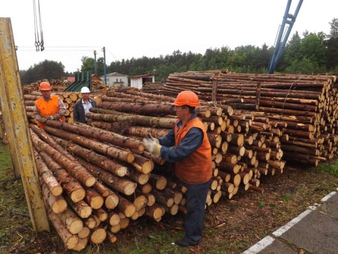 Шепетівських лісівників відправили в зону АТО для будівництва інженерних споруд