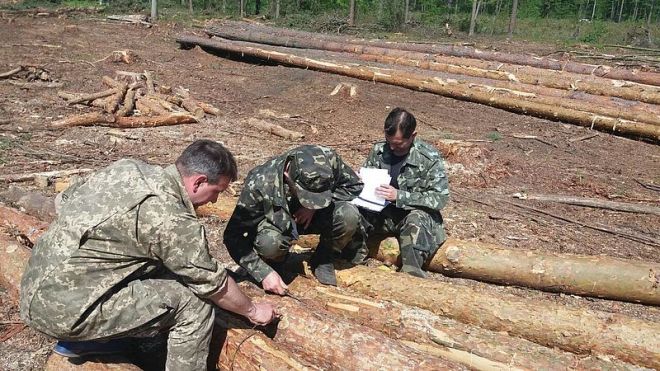 На Шепетівщині наукові співробітники обстежували уражені короїдом ліси