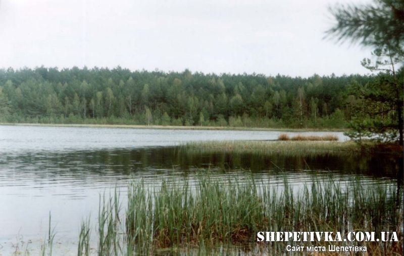На Шепетівщині у «Княжого озера» хотіли забрати понад 15 га площі вартістю 200 млн грн