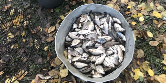 У Шепетівському районі двоє чоловіків за раз &quot;набраконьєрили&quot; риби на 141 406 грн