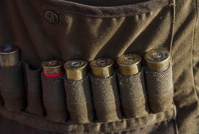 Житель Шепетівщини незаконно зберігав понад 200 патронів і саморобну гвинтівку