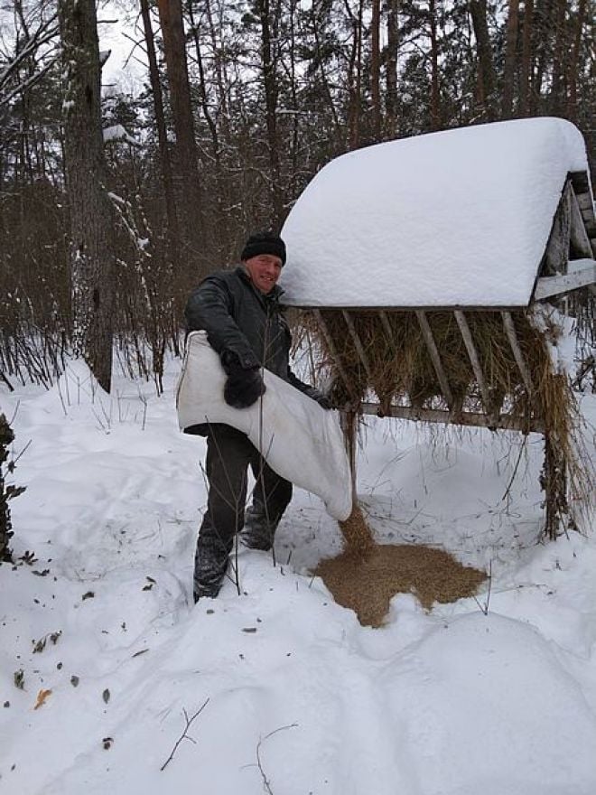 Шепетівські єгері допомагають тваринам пережити сувору зиму