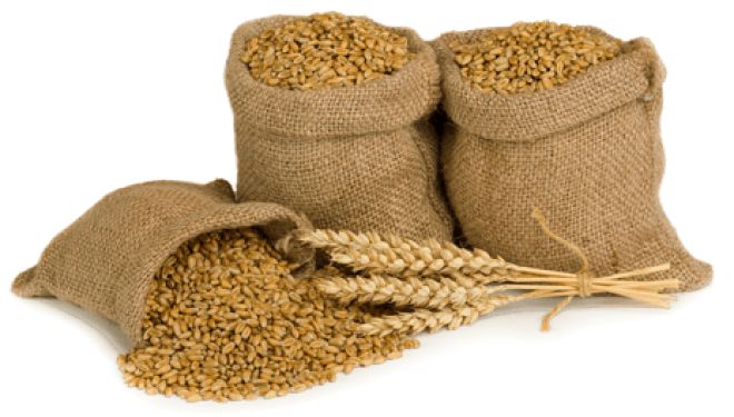 У судилківчанки вкрали 25 мішків пшениці