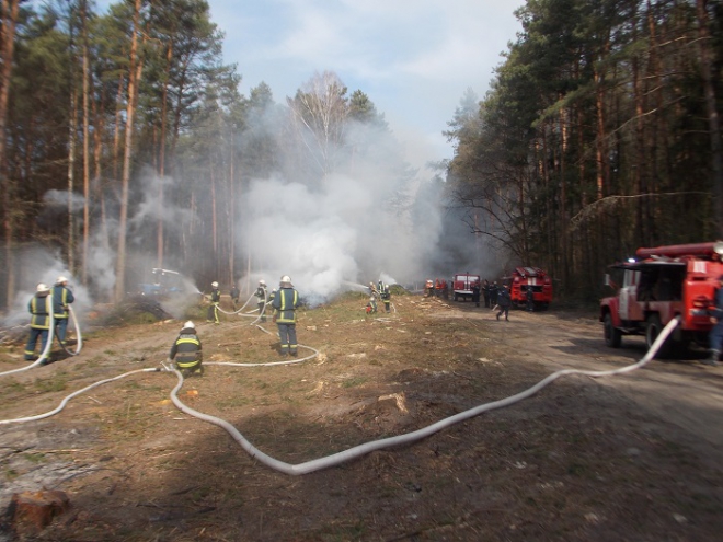 Рятувальники та лісники вчились спільно гасити лісові пожежі