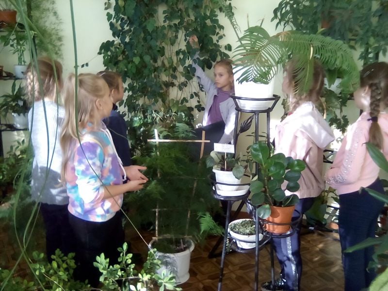 Юні шепетівські квітникарі посіли 2 місце на Всеукраїнському конкурсі