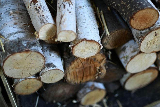 Шепетівський лісгосп відвантажив вже більше 7 тис кубометрів паливних дров