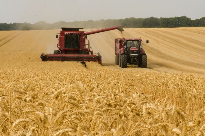 Агроформування області намолотили перший мільйон тонн зерна нового урожаю