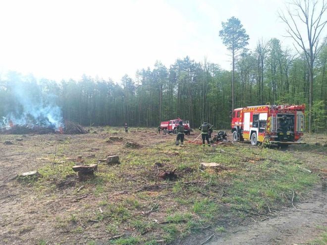 Рятувальники Шепетівщини разом із лісівниками протистояли лісовій пожежі під час навчання