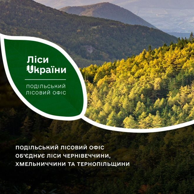 Шепетівське лісове господарство увійшло у Подільський лісовий офіс