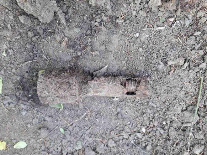 У лісі поблизу села Климентовичі знайшли ручну гранату часів Другої світової війни
