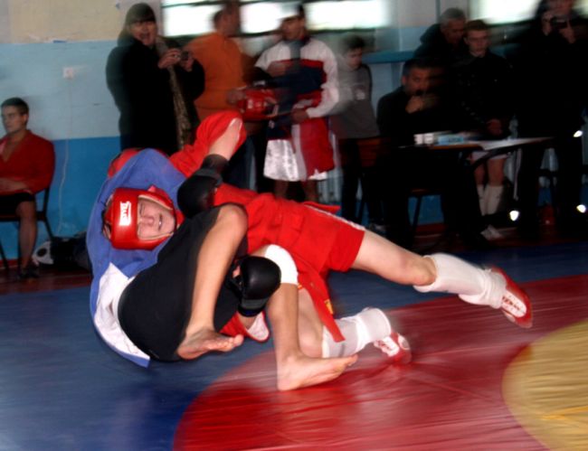 Всеукраїнський турнір з бойового самбо серед юнаків