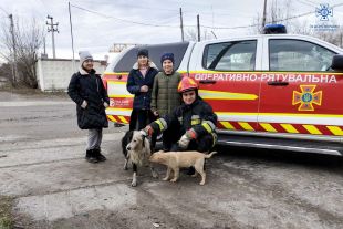 Шепетівські надзвичайники рятували собаку із каналізаційного люку