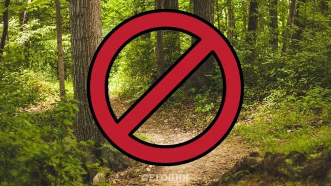Відсьогодні цивільним особам на Хмельниччині заборонено відвідувати ліси