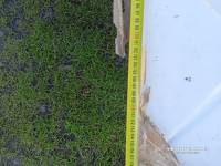 IMG-20260502-WA0002