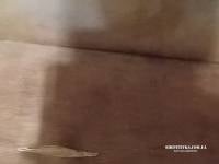 IMG-50f4e9f24aa38db22edd188accfe6841-V