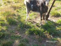 IMG-bc9542b14ad9021943730ecfe75ca173-V
