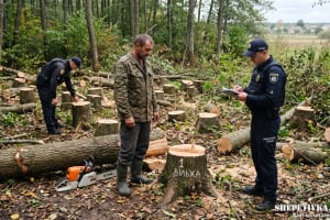 Зрубав 31 дерево на 236 тисяч гривень: на Шепетівщині суд виніс вирок «чорному лісорубу»