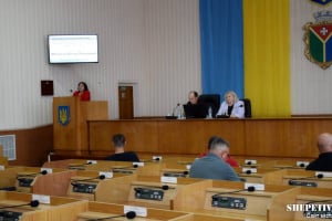 Підготовка до зими, тарифи на воду, видалення дерев та відмова встановлення шлагбаумів: засідання виконкому