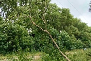 Шепетівський РЕМ ліквідував аварію на повітряних лініях 10 кВ, що живляться від підстанції «Медведівка»