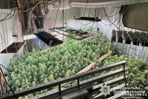 Справу міжрегіонального наркоугруповання з центром у Полонному скеровано до суду