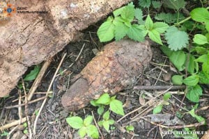 Піротехніки ДСНС на Шепетівщині знищили застарілий боєприпас