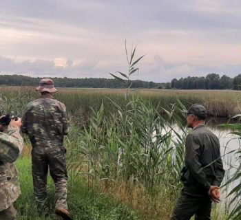 На Шепетівщині проводять польові дослідженні водно-болотних угідь