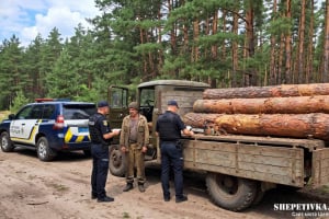 Зрубав три сосни і попався поліції: на Шепетівщині судили незаконного лісоруба