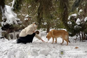 У Нетішині запустили Пункт незламності для чотирилапих