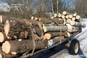 Захиснику лісонасаджень «Укрзалізниці» загрожує в'язниця за вирубку дерев