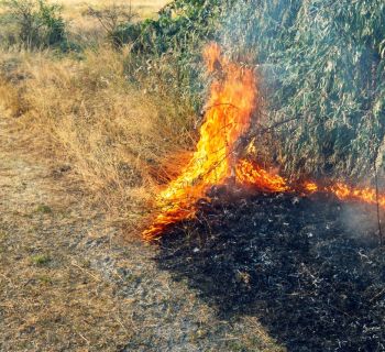 На Шепетівщині рятувальники гасили пожежу сухої рослинності