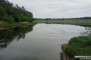 На дні приспущеного ставка села Городище було виявлено небезпечну знахідку