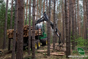 Замінюють три бригади: в Ізяславському надлісництві харвестерами заготовлено понад 8 тис. м³ деревини