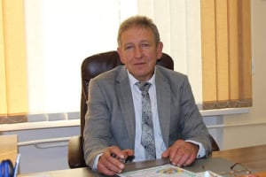 Tesla, земельні ділянки та майно: які порушення НАЗК знайшло у декларації голови Улашанівської сільради