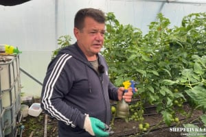 «Грицівський огірок» замість втрачених гектарів: як фермер з Херсонщини відродив справу з нуля