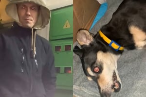 Апеляційний суд поставив крапку у справі нетішинця, який викинув собаку з 7 поверху
