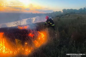 На Шепетівщині за добу ліквідували чотири пожежі: вигоріло два гектари сухостою