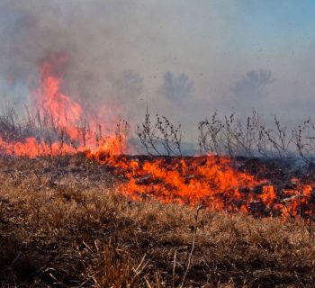 На Шепетівщині двічі за добу гасили пожежу сухостою