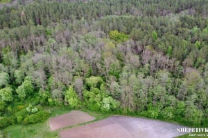 На Шепетівщині повернули державі понад 284 га лісу