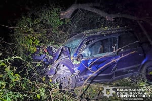 Нічна трагедія поблизу Полонного: водій «Volkswagen Passat» загинув унаслідок зіткнення з деревом