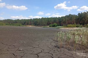 Найбільше природнє озеро Хмельниччини висихає: Святе озеро опинилося на межі зникнення