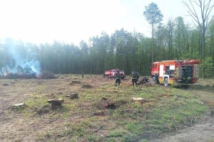 Рятувальники Шепетівщини разом із лісівниками протистояли лісовій пожежі під час навчання