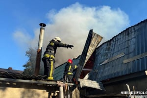 У Шепетівці та Корчику горіли господарчі будівлі, у Прислучі - екосистеми