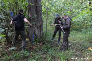 Дендрохронологія та вплив клімату: науковці НАН України дослідили вікові дерева на Шепетівщині