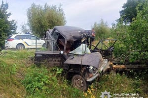 Житель Шепетівщини не впорався з керуванням та зіткнувся з деревом