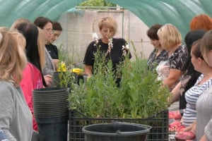 Квіти, як терапія і бізнес: у Шепетівці навчають квітникарству переселенок та жінок з родин військових