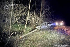 На Шепетівщині засуджено водія, який у стані сп’яніння врізався в дерево