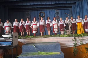 У Ленковецькій громаді відбувся обласний багатожанровий фестиваль-конкурс «СВіТ»