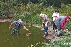 Науковці дослідили стан водойм та Голубих озер на території НПП «Мале Полісся»